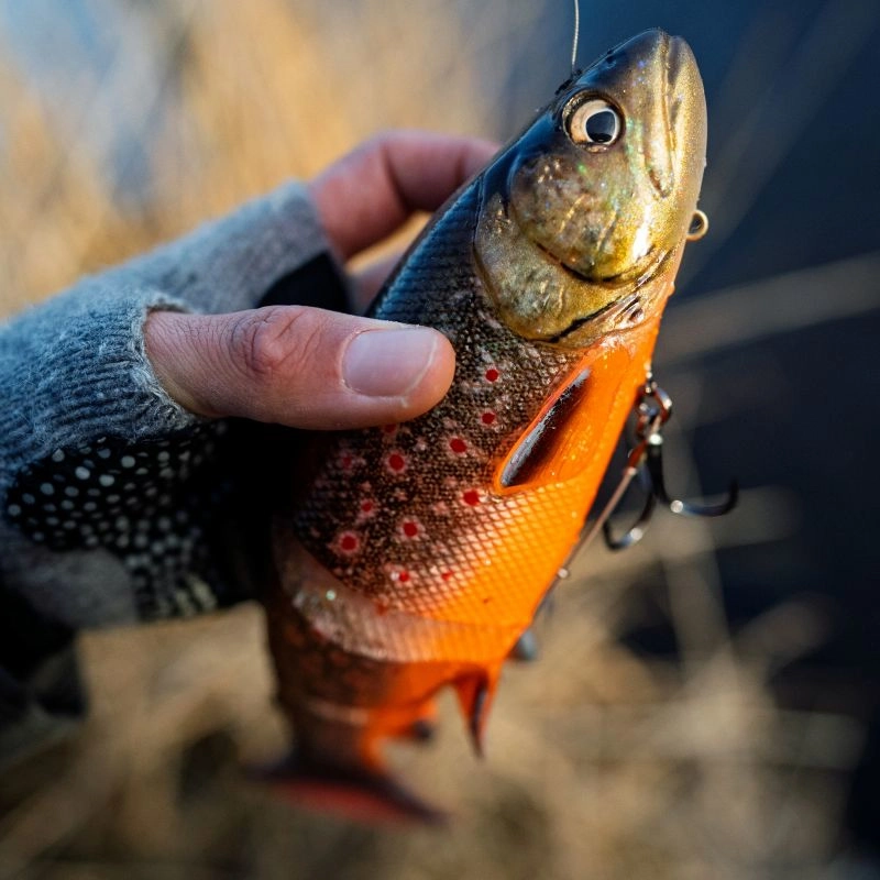 Savage Gear 3D Line Thru Trout 15cm/35g